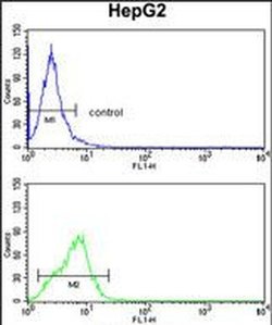 CYP4F3 Rabbit anti-Human, Polyclonal, Invitrogen 400 &mu;L; Unconjugated:Antibodies,