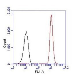 Invitrogen PAX5 Polyclonal Antibody 100 &mu;g; Unconjugated:Antibodies,