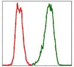 Invitrogen PBK Monoclonal Antibody (2C8) 100 &mu;L | Buy Online | Invitrogen&trade; | Fisher Scientific