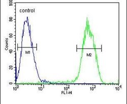 PCDHGC3 Rabbit anti-Human, Polyclonal, Invitrogen 400 &mu;L; Unconjugated:Antibodies,