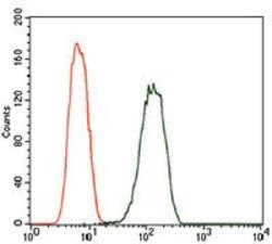 Invitrogen PDE1B Monoclonal Antibody (5C4A3) 100 &mu;g; Unconjugated:Antibodies,