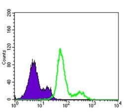 Invitrogen PDK1 Monoclonal Antibody (4A11) 100 &mu;L; Unconjugated:Antibodies,