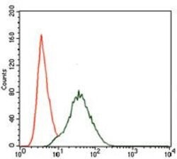 Invitrogen PI3K p85 alpha Monoclonal Antibody (6G10) 100 &mu;g; Unconjugated:Antibodies,