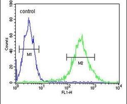 PLEKHH2 Rabbit anti-Human, Polyclonal, Invitrogen 400 μL; Unconjugated:Antibodies,
