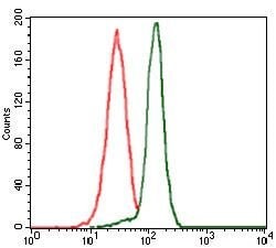 Invitrogen PPM1A Monoclonal Antibody (7F12) 100 &mu;g; Unconjugated:Antibodies,