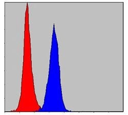 Invitrogen PKN2 Monoclonal Antibody (1D1) 100 &mu;L; Unconjugated:Antibodies,
