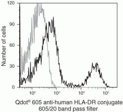 Invitrogen HLA-DR Monoclonal Antibody (TU36), Qdot 605 100 &mu;L; Qdot