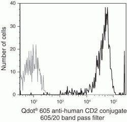 Invitrogen CD2 Monoclonal Antibody (S5.5), Qdot 605 100 &mu;L; Qdot 605:Antibodies,
