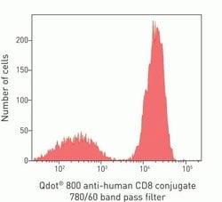 Invitrogen CD8 Monoclonal Antibody (3B5), Qdot 800 25 &mu;L; Qdot 800:Antibodies,
