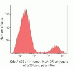 Invitrogen HLA-DR Monoclonal Antibody (TU36), Qdot 655 25 &mu;L; Qdot 655:Antibodies,