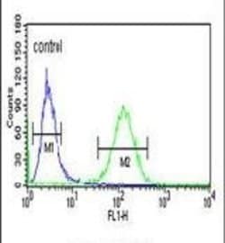 RAB27B Polyclonal Antibody, Invitrogen 400 &mu;L; Unconjugated:Antibodies,