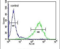 RAB3IL1 Rabbit anti-Human, Polyclonal, Invitrogen 400 &mu;L; Unconjugated:Antibodies,