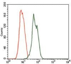 Invitrogen Rab4 Monoclonal Antibody (4E11) 100 &mu;g; Unconjugated:Antibodies,