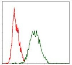 Invitrogen c-Raf Monoclonal Antibody (4G4) 100 &mu;g; Unconjugated:Antibodies,