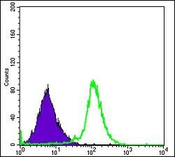 Invitrogen RBP4 Monoclonal Antibody (4C2) 100 &mu;L; Unconjugated:Antibodies,