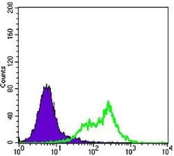 Invitrogen RICTOR Monoclonal Antibody (7B3) 100 &mu;L; Unconjugated:Antibodies,