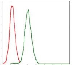 Invitrogen RPA70 Monoclonal Antibody (4C4) 100 &mu;g; Unconjugated:Antibodies,
