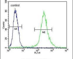 RPS24 Rabbit anti-Human, Polyclonal, Invitrogen 400 &mu;L; Unconjugated:Antibodies,