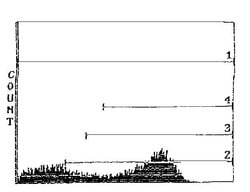 Invitrogen RT1.B Monoclonal Antibody (OX-6):Antibodies:Primary Antibodies