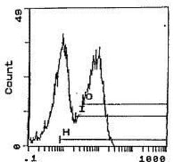 Invitrogen RT1.Bu Monoclonal Antibody (OX-3) 250 &mu;g | Buy Online | Invitrogen&trade; | Fisher Scientific