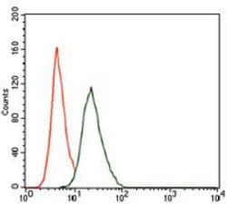 RUNX3 Monoclonal Antibody (2B3), Invitrogen 100 &mu;g; Unconjugated:Antibodies,