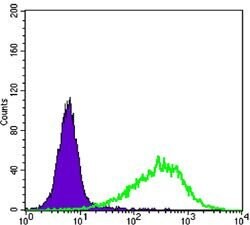Invitrogen RAB25 Monoclonal Antibody (3F12) 100 &mu;L; Unconjugated:Antibodies,