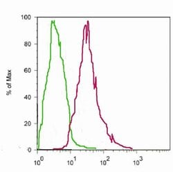 Invitrogen RelB Monoclonal Antibody (17.3) 100 &mu;g; Unconjugated:Antibodies,