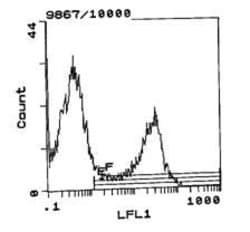 Invitrogen Mouse anti-Rat Kappa Light Chain Secondary Antibody, Biotin:Antibodies:Secondary