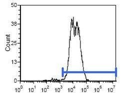 Invitrogen™ Mouse anti-Rat IgG2b Secondary Antibody, FITC