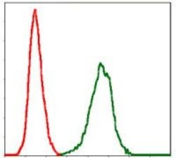 Invitrogen PAI1 Monoclonal Antibody (1D5) 100 &mu;g; Unconjugated:Antibodies,