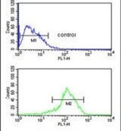 SFT2D3 Rabbit anti-Human, Polyclonal, Invitrogen 400 &mu;L; Unconjugated:Antibodies,