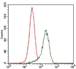 Invitrogen SHH Monoclonal Antibody (5H4) 100 &mu;g | Buy Online | Invitrogen&trade; | Fisher Scientific