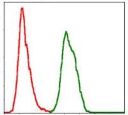 Invitrogen SKP1 Monoclonal Antibody (1H9) 100 &mu;L; Unconjugated:Antibodies,