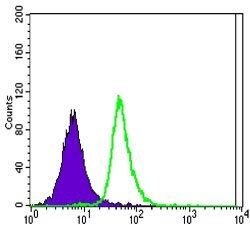Invitrogen SLC22A1 Monoclonal Antibody (2C5) 100 &mu;L; Unconjugated:Antibodies,