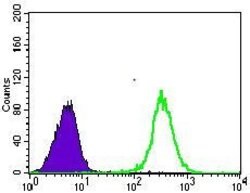Invitrogen GLUT4 Monoclonal Antibody (3G10A3) 100 &mu;g; Unconjugated:Antibodies,