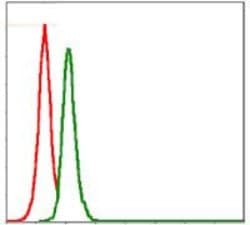 Invitrogen SRC Monoclonal Antibody (1F11) 100 &mu;L; Unconjugated:Antibodies,