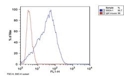 Invitrogen SSEA1 Monoclonal Antibody (MC-480) 100 &mu;g; Unconjugated:Antibodies,