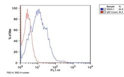 Invitrogen SSEA1 Monoclonal Antibody (MC-480) 100 &mu;g; Unconjugated:Antibodies,