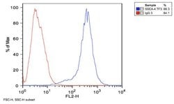 Invitrogen SSEA4 Monoclonal Antibody (MC-813-70) 100 &mu;g; Unconjugated:Antibodies,