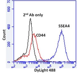 Invitrogen SSEA4 Monoclonal Antibody (MC-813-70) 100 &mu;g; Unconjugated:Antibodies,
