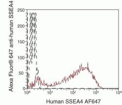 Invitrogen SSEA4 Monoclonal Antibody (MC-813-70), Alexa Fluor 647 500 &mu;L;