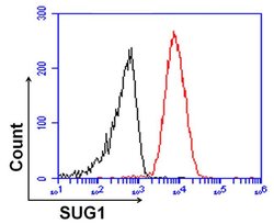 Invitrogen PSMC5 Monoclonal Antibody (2SU-1B8) 50 &mu;L | Buy Online | Invitrogen&trade; | Fisher Scientific