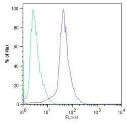 Invitrogen SOX2 Monoclonal Antibody (20G5) 100 &mu;g; Unconjugated:Antibodies,
