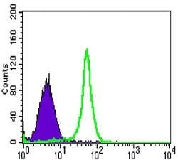 Invitrogen TAB2 Monoclonal Antibody (3B5) 100 &mu;L; Unconjugated:Antibodies,