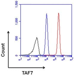 Invitrogen TAF7 Monoclonal Antibody (19TA-2C7) 50 &mu;L; Unconjugated:Antibodies,