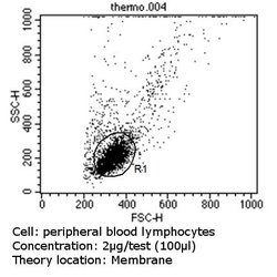 TCR V beta 5b Monoclonal Antibody (W112), Invitrogen 200 &mu;g; Unconjugated:Antibodies,
