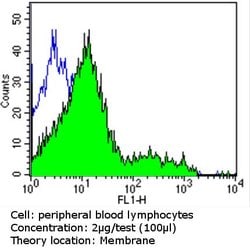 Invitrogen TCR V alpha 12.1 Monoclonal Antibody (6D6.6) 200 &mu;g; Unconjugated:Antibodies,