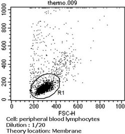 TCR V delta 2, FITC, clone: 15D, Invitrogen 200 Tests; FITC:Antibodies,