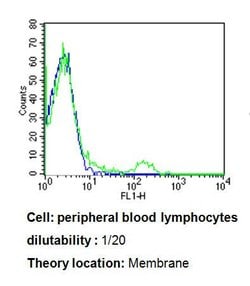Invitrogen TCR V beta 3.1 Monoclonal Antibody (8F10), FITC 200 Tests; FITC:Antibodies,