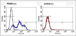 Invitrogen TCR V alpha 12.1 Monoclonal Antibody (6D6.6) 200 &mu;g; Unconjugated:Antibodies,